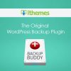 BackupBuddy Pro WordPress Plugin