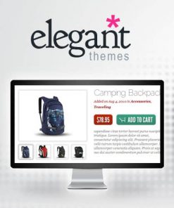 Elegant Themes eStore WooCommerce Theme