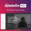 Elementor Pro Page Builder Wordpress Plugin