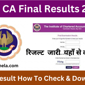 ICAI CA Final Results 2022