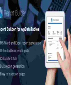 Report Builder add-on for wpDataTables